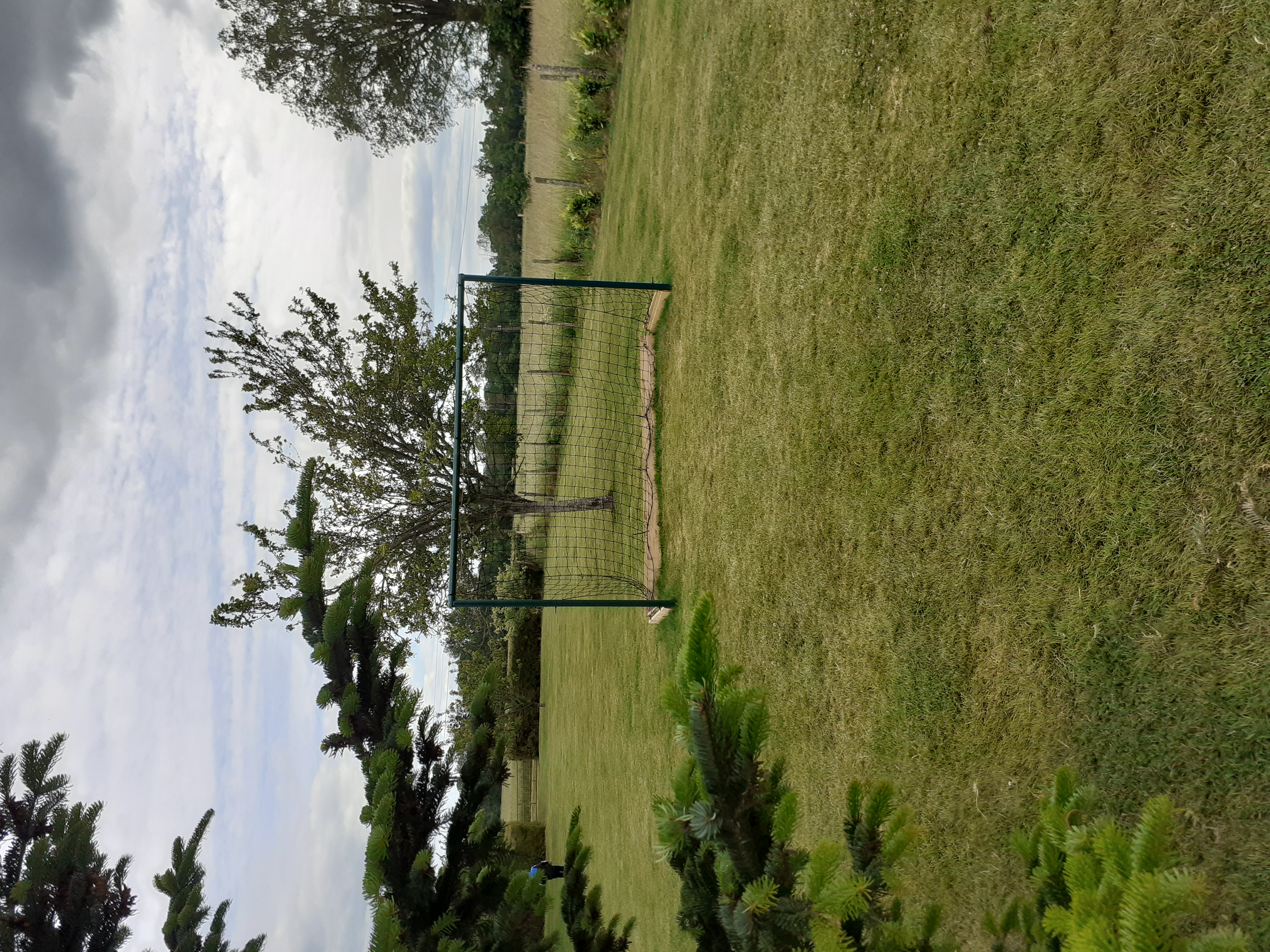 Buts de foot
